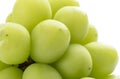 Beautiful a bunch of Shine Muscat green grape isolated on white background Royalty Free Stock Photo