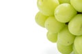 Beautiful a bunch of Shine Muscat green grape isolated on white background Royalty Free Stock Photo