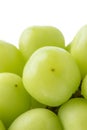 Beautiful a bunch of Shine Muscat green grape isolated on white background Royalty Free Stock Photo