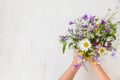 Beautiful bunch of wild flowers in woman`s hands on the white wooden background. Flowers from the park. Summer Royalty Free Stock Photo