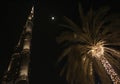 Beautiful The Burj Kalifa , with Palm tree
