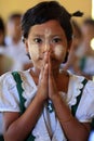 Beautiful Burmese girl