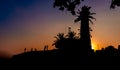 Beautiful burning sky sunset in Galle fort silhouette lighthouse landscape Royalty Free Stock Photo