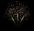 Beautiful bursting firework. Vector illustration