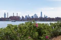 Beautiful Bush with Pink Flowers along the East River at Hunters Point South Park during Spring in Long Island City Queens with th