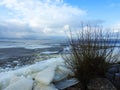 Beautiful bushes near Curonian spit in winter, Lithuania Royalty Free Stock Photo