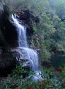 Beautiful bushland waterfall in Blue Mountains Royalty Free Stock Photo