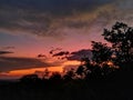 Beautiful bushveld sunset Royalty Free Stock Photo