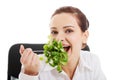 Beautiful business woman sitting and eating lettuce. Royalty Free Stock Photo