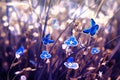 Beautiful butterflies and blue flowers in summer against the background of green grass in the garden. Royalty Free Stock Photo