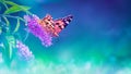 Beautiful butterflies and lilac summer flowers on a background of green foliage and grass in a fairy garden. Macro artistic image. Royalty Free Stock Photo