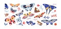 Beautiful butterflies set. Exotic moths, charming flying winged insects. Pretty tropical fauna, flowers, spring and