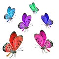 Beautiful butterflies in various colors with black spots wings isolated on white background in collection
