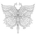 Beautiful butterfly for adult coloring book, coloring page, print on t shirt or other products. Vector illustration