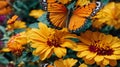 Beautiful Butterfly Alighting on Flower: A Captivating Scene. Royalty Free Stock Photo