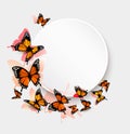 Beautiful butterfly background and gift card. Royalty Free Stock Photo