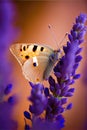 Beautiful Butterfly on Blade of Grass in Nature with a Soft Focus on Blurred Background Beautiful Bokeh. Magic Dreamy Artistic