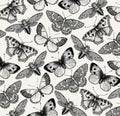 Beautiful Butterfly, cicada and insect. Antique Animal Illustrations. Fauna. Drawing engraving. Background pattern. Vintage vector