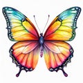 Beautiful butterfly - clip art , blue, yellow, pink pastel colours art design