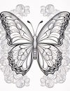 Beautiful butterfly with floral ornament on a white background. Vector illustration Royalty Free Stock Photo