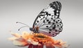 Beautiful butterfly on a flower on a white background. Generative AI Royalty Free Stock Photo