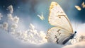 beautiful butterfly and flowers on snow. Royalty Free Stock Photo