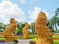 Beautiful Butterfly Hill at Nong Nooch Tropical Botanical Garden