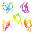 Beautiful butterfly icon set