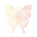 Beautiful butterfly line art illustration with gradient color. Hand drawn doodle. Creative vector bohemia concept