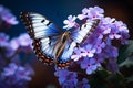 Beautiful butterfly perched on blue flowers in the enchanting garden