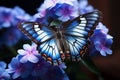 Beautiful butterfly perched on blue flowers in the enchanting garden