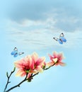 Beautiful butterfly on pink flower magnolia, sky background Royalty Free Stock Photo