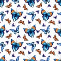 Beautiful butterfly seamless pattern with white background. Tropical, jungle and forest colorful insects in hand drawn