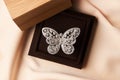 Beautiful butterfly shaped gold diamond ring or brooch Royalty Free Stock Photo