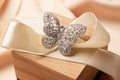 Beautiful butterfly shaped gold diamond ring or brooch Royalty Free Stock Photo