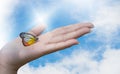 A beautiful butterfly sitting on woman hand Royalty Free Stock Photo