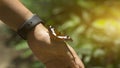 Beautiful butterfly sitting on the woman hand Royalty Free Stock Photo