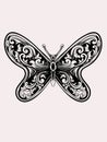 beautiful butterfly vector design for elements, color editable