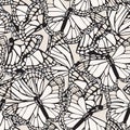 Beautiful butterfly wings seamless pattern. Gorgeous exotic insect background