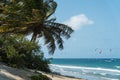 Beautiful cabarete beach