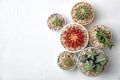 Beautiful cacti on light background