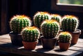 Beautiful cactus against the background of the Mexican desert, agave bush grows in the desert, Royalty Free Stock Photo