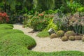 Beautiful Cactus garden, decorated with Cactuses, light brown pebble in the middle, gray stone, green leafs ground cover plant Royalty Free Stock Photo