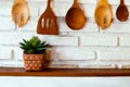 Beautiful cactus in vase on kitchen counter