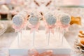 Beautiful cake pops. Colorful table with sweets and goodies for the wedding party reception, decorated dessert table. Delicious Royalty Free Stock Photo