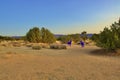 Beautiful California Desert Landscape Taken During The Evening Golden Hour