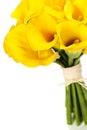 Beautiful Calla Lilly Bouquet Royalty Free Stock Photo