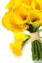 Beautiful Calla Lilly Bouquet Royalty Free Stock Photo