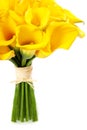 Beautiful Calla Lilly Bouquet Royalty Free Stock Photo