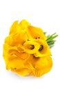 Beautiful Calla Lilly Bouquet Royalty Free Stock Photo